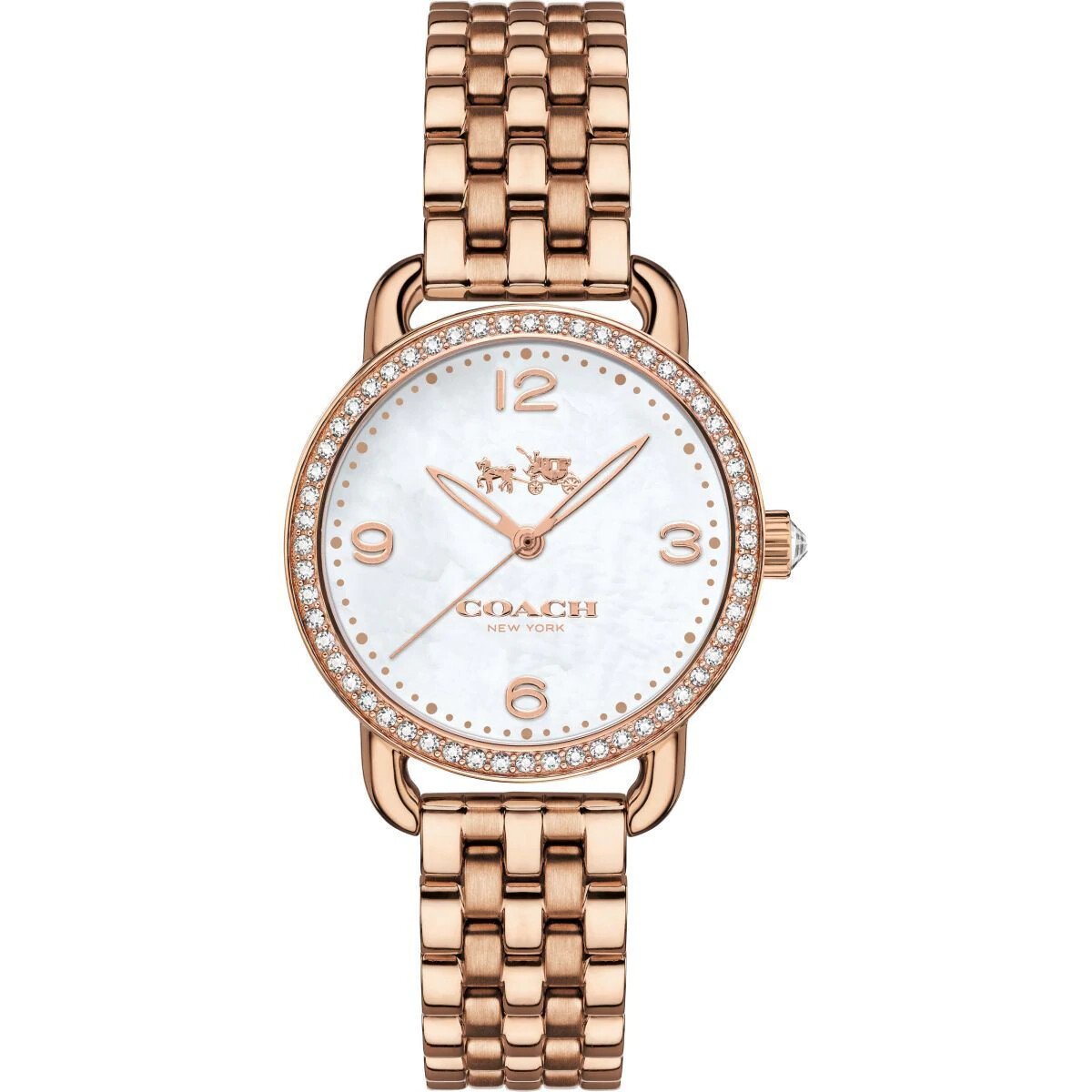 COACH 14502479