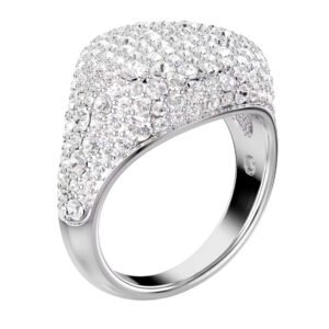 SWAROVSKI 5684249